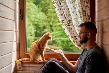 Как научить кота командам?