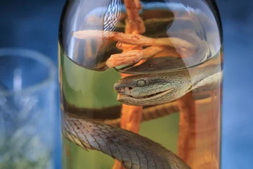 Алтайские таможенники изъяли у туристки, приехавшей из Вьетнама, необычный «сувенир»