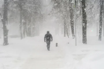 В России зафиксирована первая метель