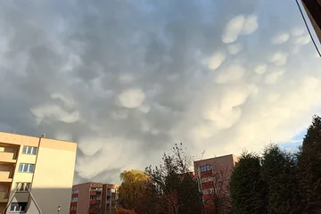 Погода в краснодаре на 10 дней gismeteo яндекс