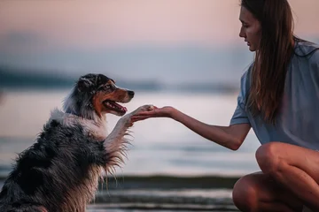 Что хочет сказать ваш пёс: расшифровка самых частых движений лапами
