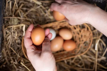 Специалист посоветовала хранить яйца в кладовке, а не в холодильнике